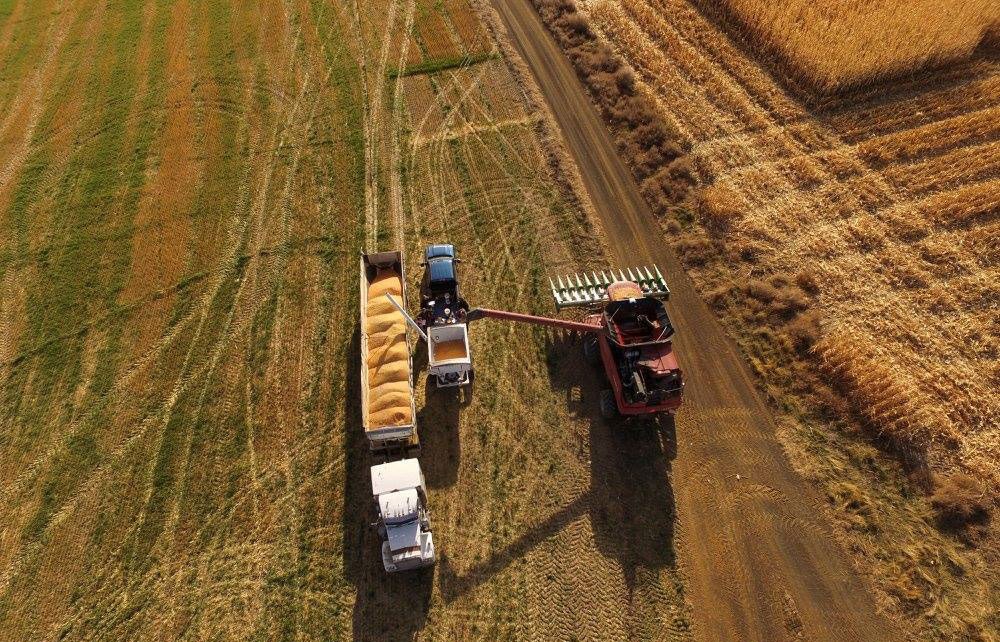Dekalb Harvest from Drone